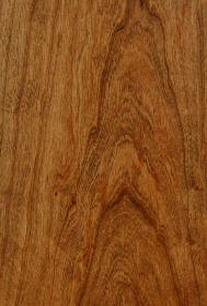 "AX medium" on cherry doors