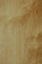Hard Maple doors with "AX Medium" finish