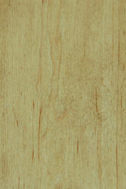 Hard Maple doors with "Candlelight" finish