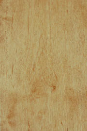 Hard Maple doors with "MX" finish