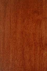 Hard Maple doors with "Master's Cherry" finish