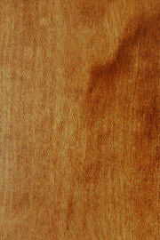 Hard Maple doors with "Michael's Cherry" finish
