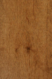 Hard Maple doors with "New Carmel" finish