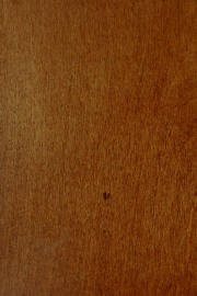 Hard Maple doors with "Penn House" finish