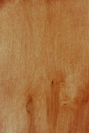 Hard Maple doors with "S-14" finish