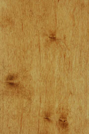 Hard Maple doors with "Seely" finish