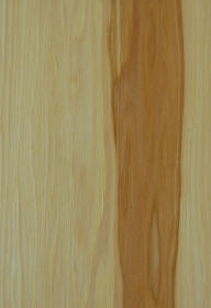 "natural"on hickory doors