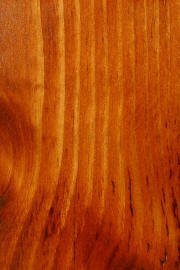 Knotty Pine doors with "Curly Maple" finish