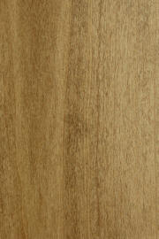 Poplar doors with "AX Medium" finish