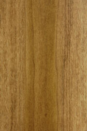 Poplar doors with "Fruitwood" finish