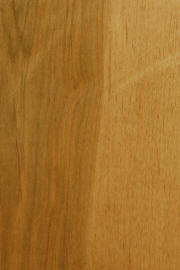 Soft Maple doors with "Fruitwood" finish