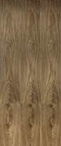 Walnut Flush Door