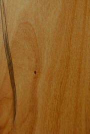 "natural"on knotty alder doors