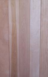 Samples of Birch Wood
