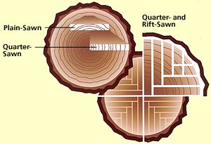 Growth Rings 