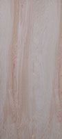 Natural Birch Rotary Sliced Solid Core Flush Door