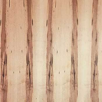 Natural Birch Veneers