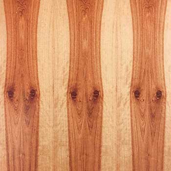 Natural Maple Veneers